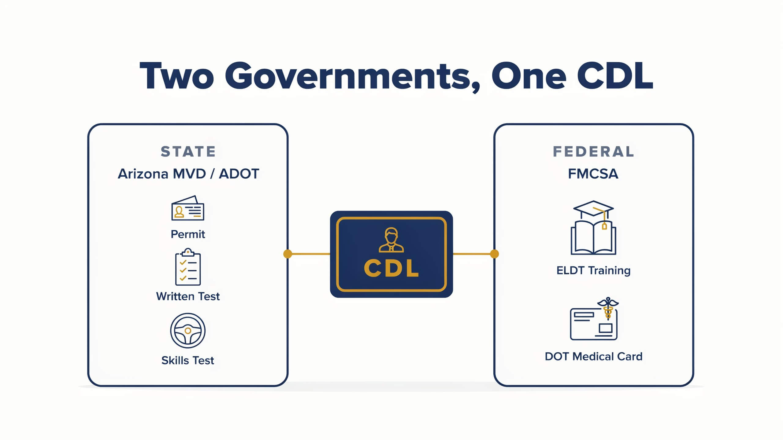 Diagram of the two authorities behind an Arizona CDL: state MVD/ADOT for permit and tests, federal FMCSA for ELDT and medical